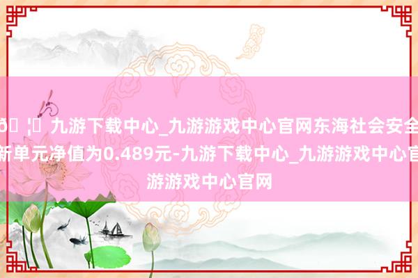 🦄九游下载中心_九游游戏中心官网东海社会安全最新单元净值为0.489元-九游下载中心_九游游戏中心官网