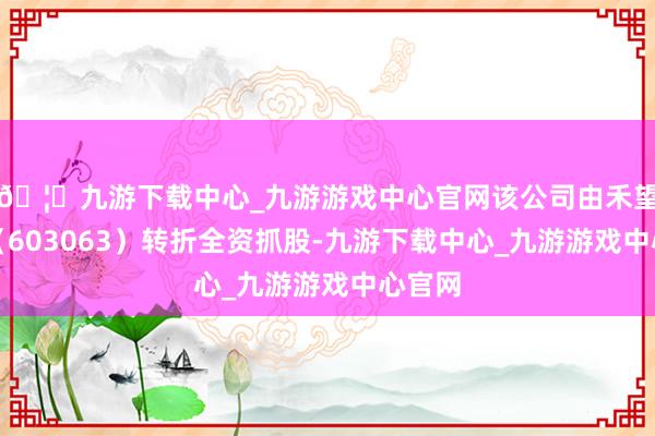 🦄九游下载中心_九游游戏中心官网该公司由禾望电气（603063）转折全资抓股-九游下载中心_九游游戏中心官网