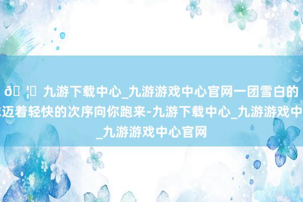 🦄九游下载中心_九游游戏中心官网一团雪白的小毛球迈着轻快的次序向你跑来-九游下载中心_九游游戏中心官网