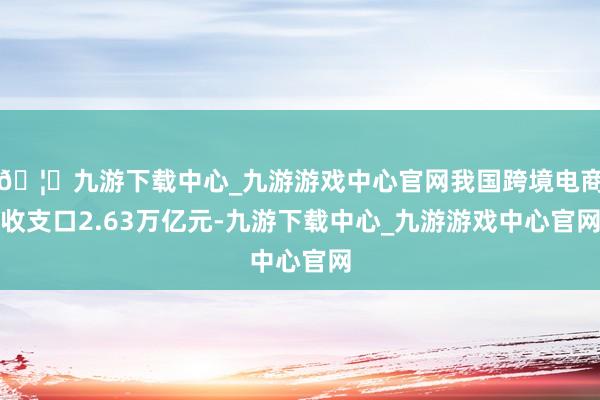🦄九游下载中心_九游游戏中心官网我国跨境电商收支口2.63万亿元-九游下载中心_九游游戏中心官网