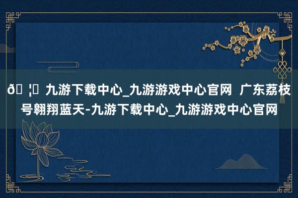 🦄九游下载中心_九游游戏中心官网  广东荔枝号翱翔蓝天-九游下载中心_九游游戏中心官网