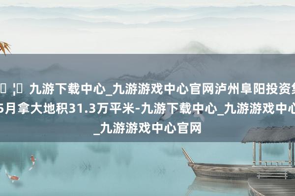 🦄九游下载中心_九游游戏中心官网泸州阜阳投资集团1-5月拿大地积31.3万平米-九游下载中心_九游游戏中心官网