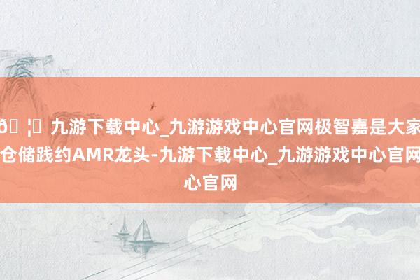 🦄九游下载中心_九游游戏中心官网极智嘉是大家仓储践约AMR龙头-九游下载中心_九游游戏中心官网