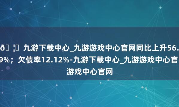 🦄九游下载中心_九游游戏中心官网同比上升56.19%；欠债率12.12%-九游下载中心_九游游戏中心官网